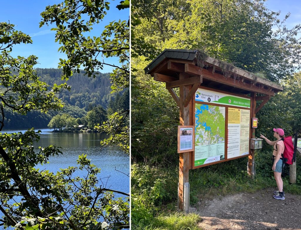 Hiker reading the trail map at the entrance of Eifel National Park Germany
