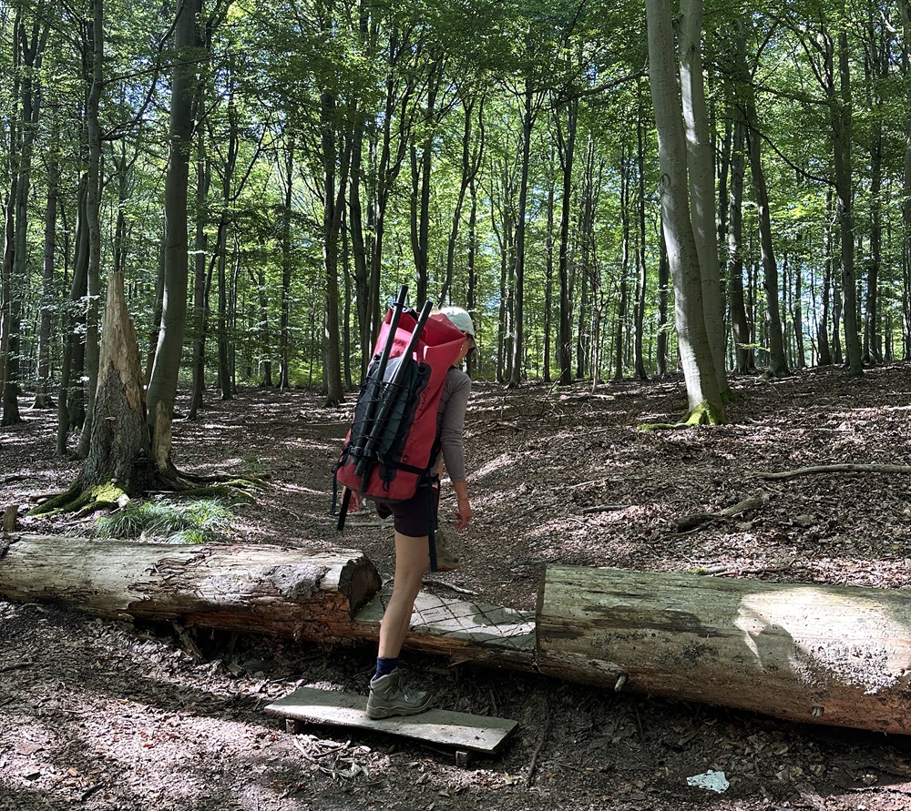 Hiker carrying a packraft backpack through the forest in the Eifel