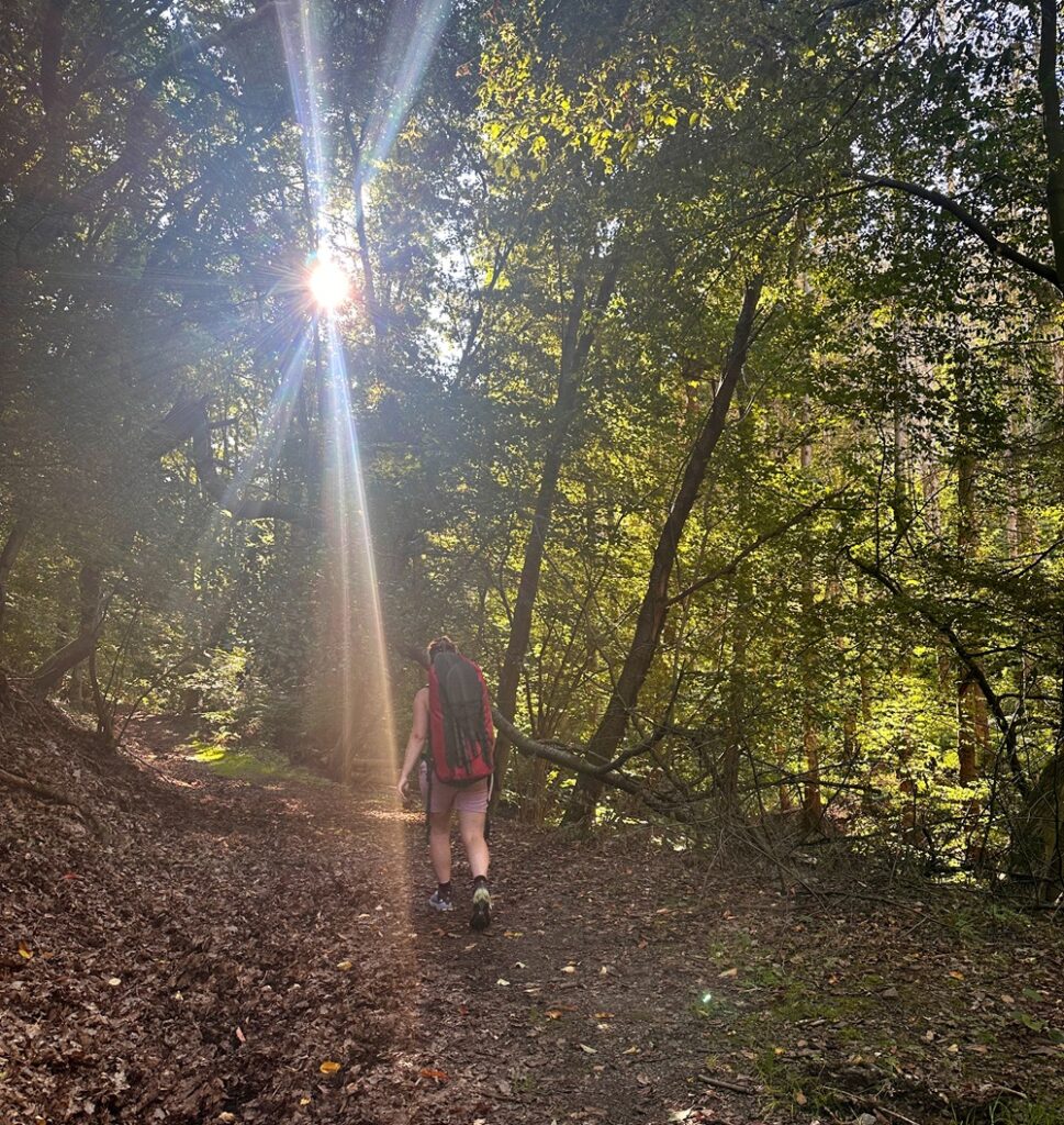 Walking trail through forest during a packrafting adventure in Germany
